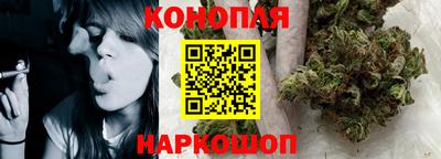 шишки Кимры