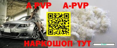 твердый Кингисепп