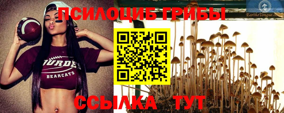Галлюциногенные грибы Psilocybine cubensis  Вход с VPN  Лабытнанги 