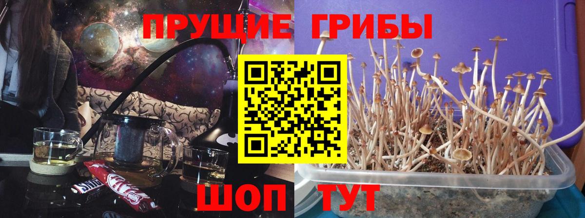 Галлюциногенные грибы MAGIC MUSHROOMS Лабытнанги